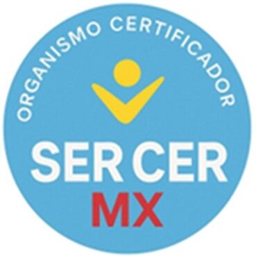 sercermx.com